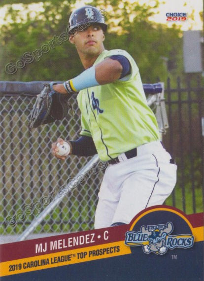 2019 Carolina League Top Prospects MJ Melendez