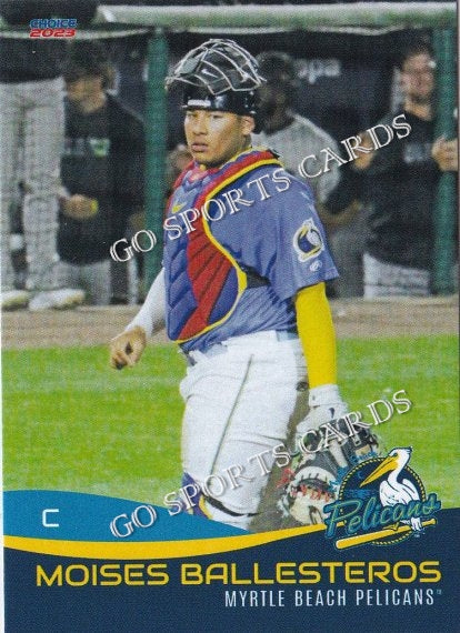 2023 Myrtle Beach Pelicans Moises Ballesteros