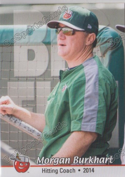 2014 Fort Wayne TinCaps Morgan Burkhart