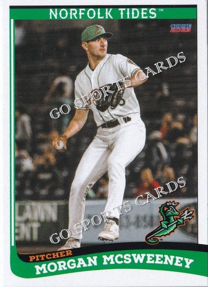 norfolk tides jersey