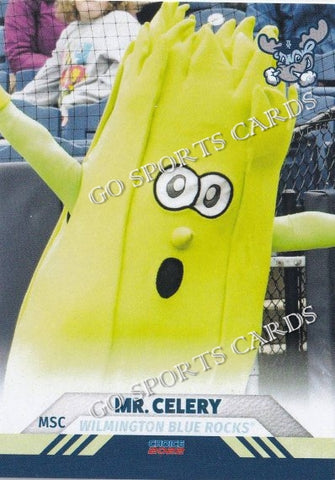 2022 Wilmington Blue Rocks Mr Celery Mascot