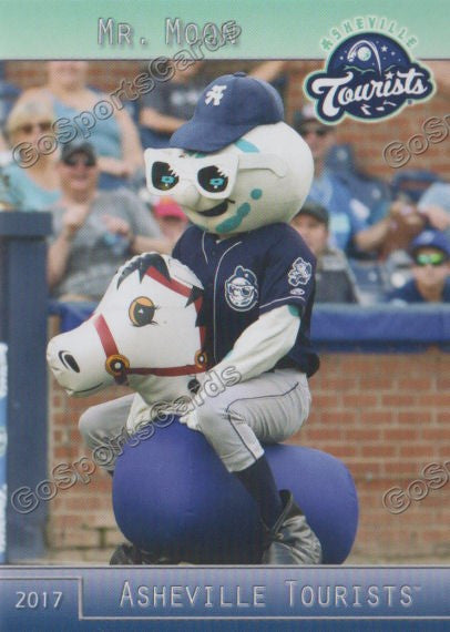 2017 Asheville Tourists Mr Moon Mascot