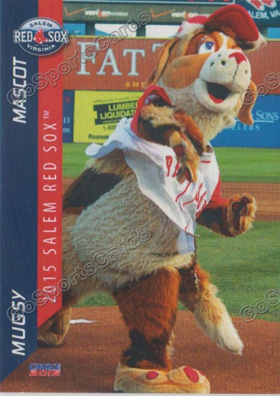 2015 Salem Red Sox Mugsy Mascot