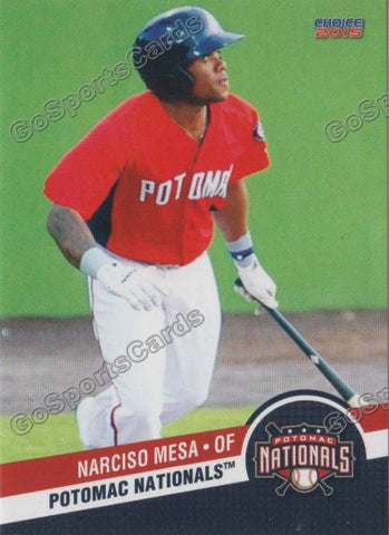 2015 Potomac Nationals Narciso Mesa