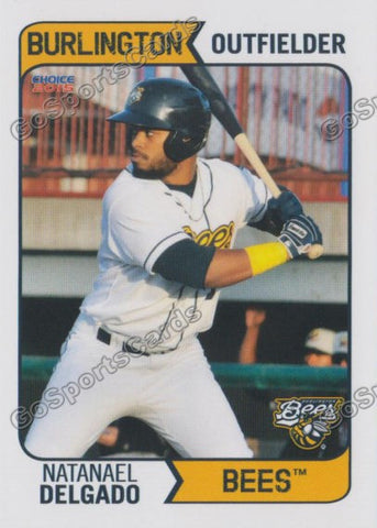 2015 Burlington Bees Natanael Delgado