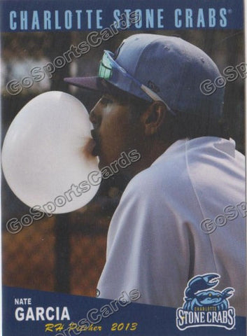 2013 Charlotte Stone Crabs Nate Garcia