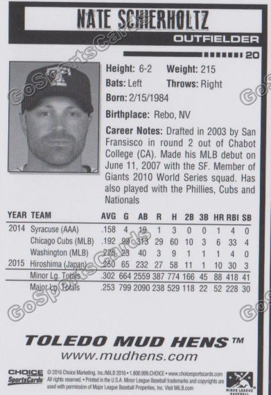 2016 Toledo Mud Hens Nate Schierholtz Back of Card