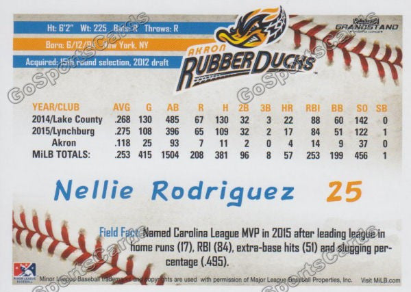 2016 Akron Aeros Nellie Rodriguez Back of Card