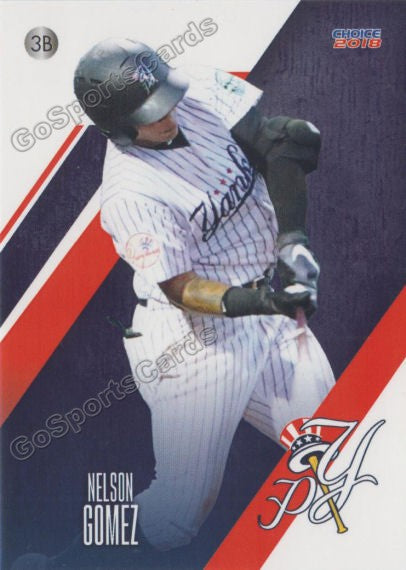 2018 Pulaski Yankees Nelson Gomez