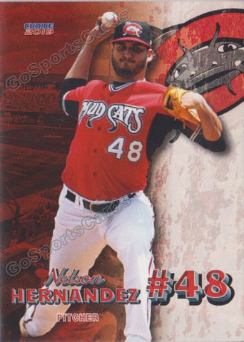 2019 Carolina Mudcats Nelson Hernandez