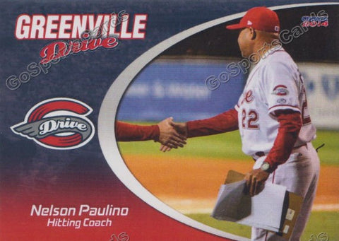 2014 Greenville Drive Nelson Paulino