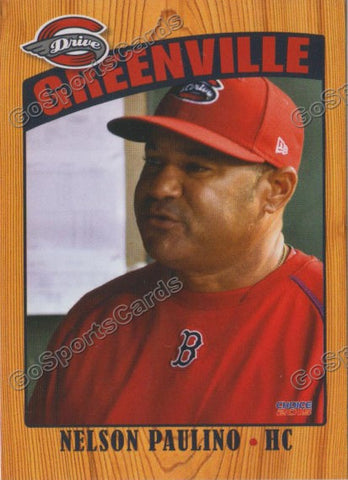 2015 Greenville Drive Nelson Paulino