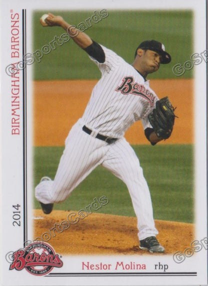 2014 Birmingham Barons Nestor Molina
