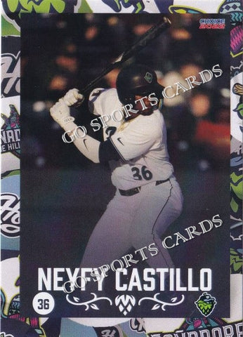 2022 Hillsboro Hops Neyfy Castillo