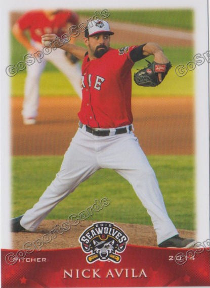 2014 Erie Seawolves Nick Avila