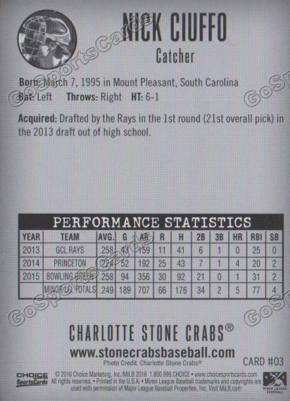 2016 Charlotte Stone Crabs Nick Ciuffo Back of Card