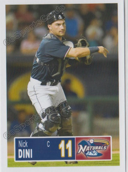 2018 Northwest Arkansas Naturals Nick Dini