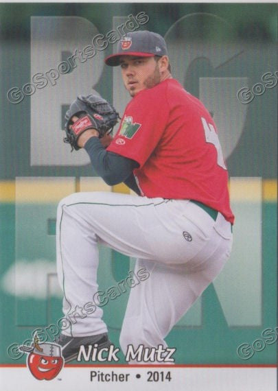 2014 Fort Wayne TinCaps Nick Mutz