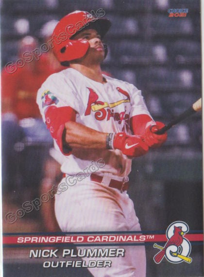 2021 Springfield Cardinals Nick Plummer