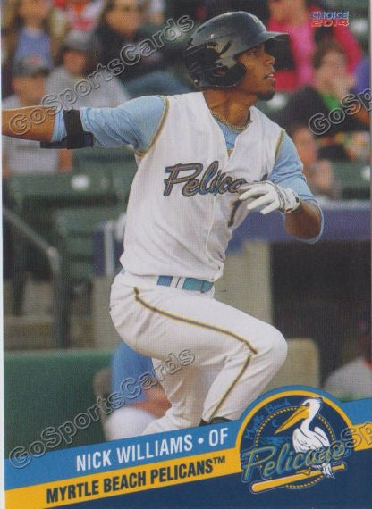 2014 Myrtle Beach Pelicans Nick Williams