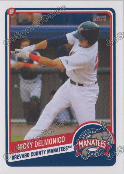 2014 Brevard County Manatees Nick Nicky Delmonico