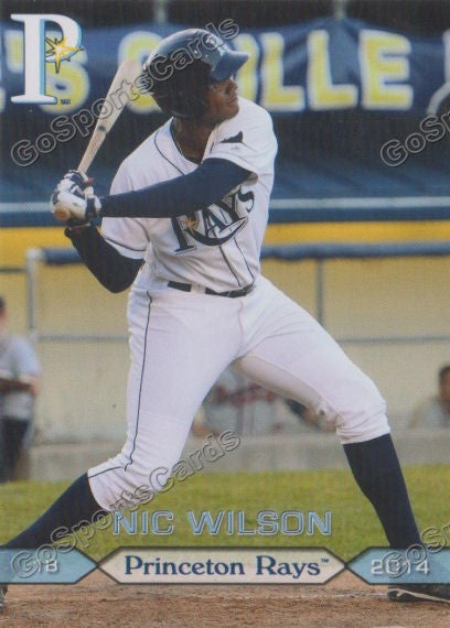 2014 Princeton Rays Nic Wilson