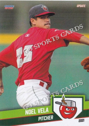 2021 Fort Wayne TinCaps Noel Vela