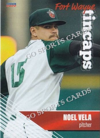 2022 Fort Wayne TinCaps Noel Vela
