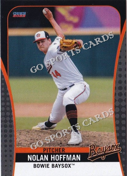 2023 Bowie Baysox Nolan Hoffman