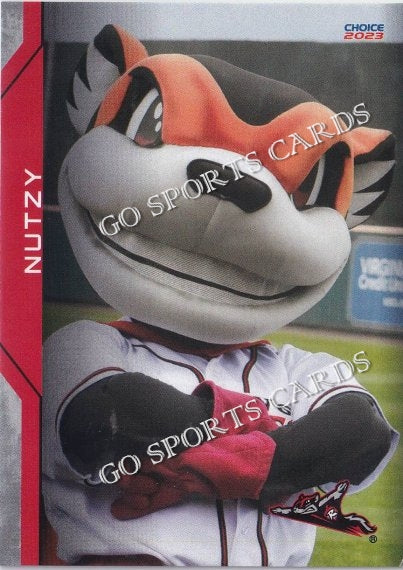 2023 Richmond Flying Squirrels Nutzy Mascot