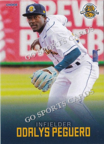 2023 Charleston RiverDogs Odalys Peguero