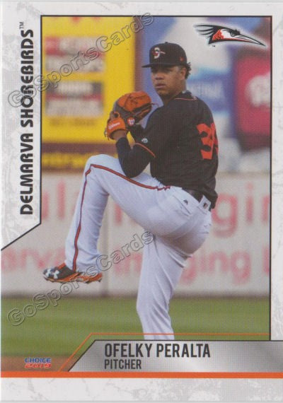 2019 Delmarva Shorebirds Ofelky Peralta