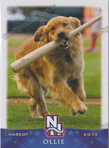 2014 New Hampshire Fisher Cats Ollie