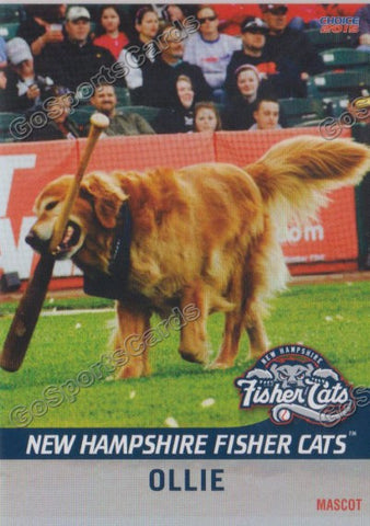 2015 New Hampshire Fishercats Ollie Mascot