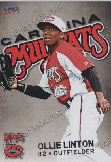 2014 Carolina Mudcats Ollie Linton