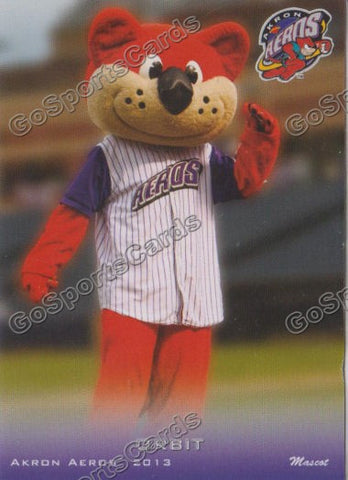 2013 Akron Aeros Orbit