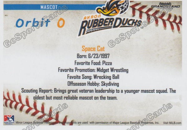 2016 Akron Aeros Orbit Mascot Back of Card