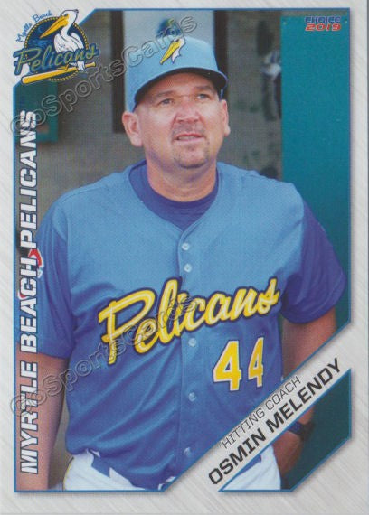 2019 Myrtle Beach Pelicans Osmin Melendez Melendy