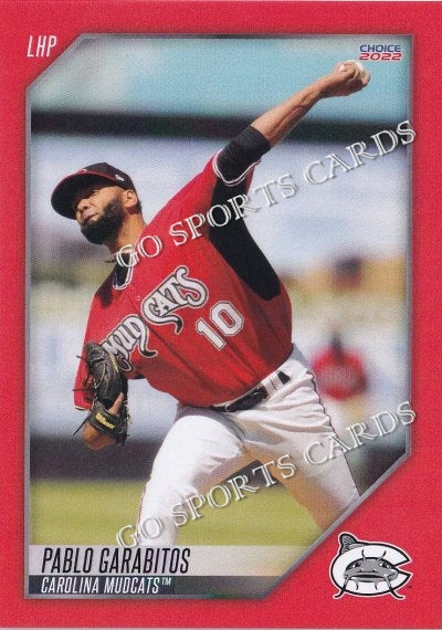 2022 Carolina Mudcats Pablo Garabitos