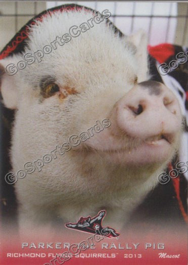 2013 Richmond Flying Squirrels Parker the Rally Pig