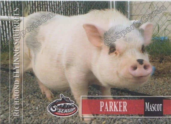 2014 Richmond Flying Squirrels Parker the Rally Pig Mascot
