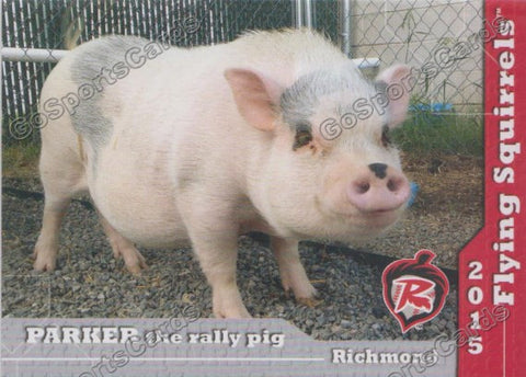 2015 Richmond Flying Squirrels Parker the Rally Pig