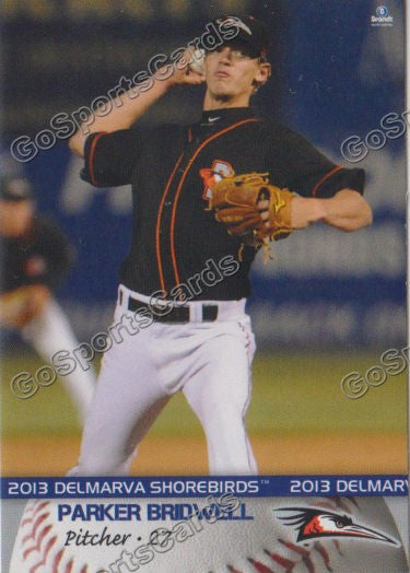 2013 Delmarva Shorebirds Parker Bridwell