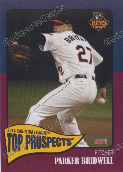 2014 Carolina League Top Prospect Parker Bridwell