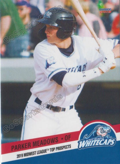 2019 Midwest League Top Prospects Parker Meadows