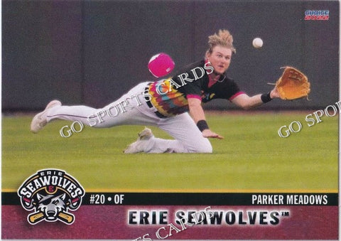 2022 Erie SeaWolves Parker Meadows