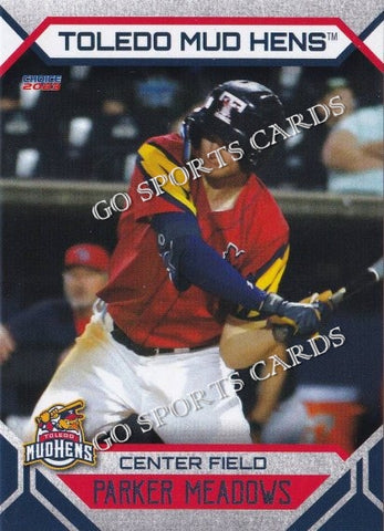 2023 Toledo Mud Hens Parker Meadows