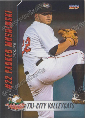 2017 Tri City ValleyCats Parker Mushinski
