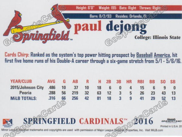 2016 Springfield Cardinals Paul Dejong Back of Card