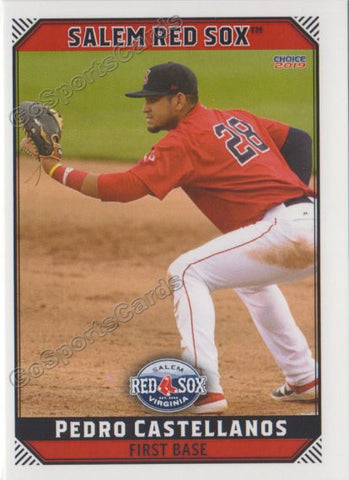 2019 Salem Red Sox Pedro Castellanos